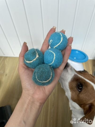 Катапульта для собак Ifetch