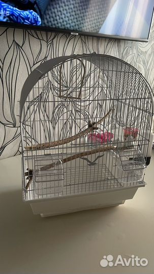 Клетка для попугая