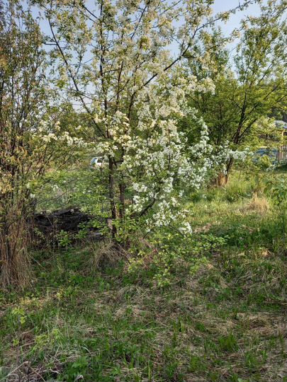 Дача 20 м² на участке 6 сот.