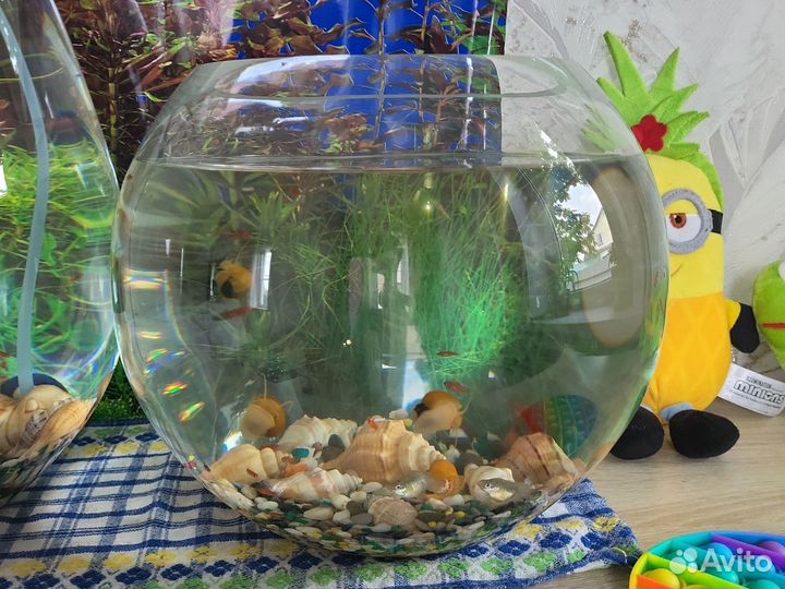 Аквариум с рыбками