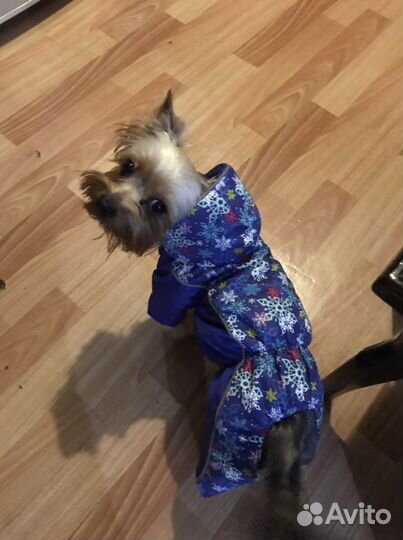 Продам демисезонный костюм