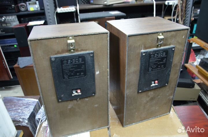 Колонки полочные Радиотехника S-30B