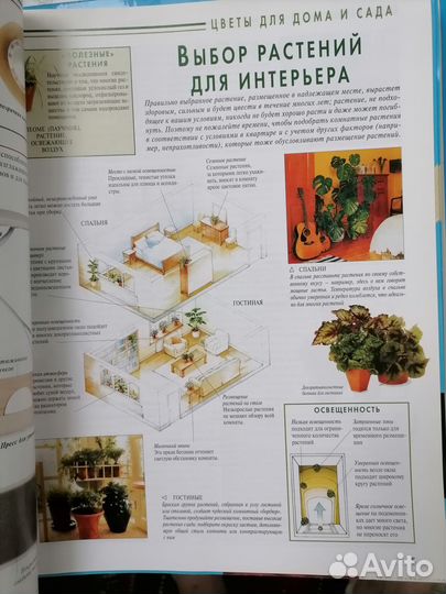 Журналы о рыбалке и золотые руки