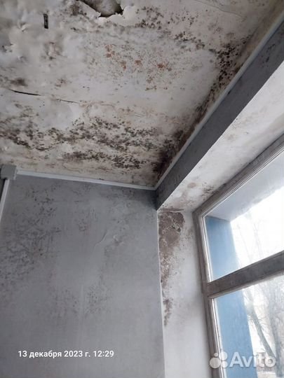 Строительная экспертиза