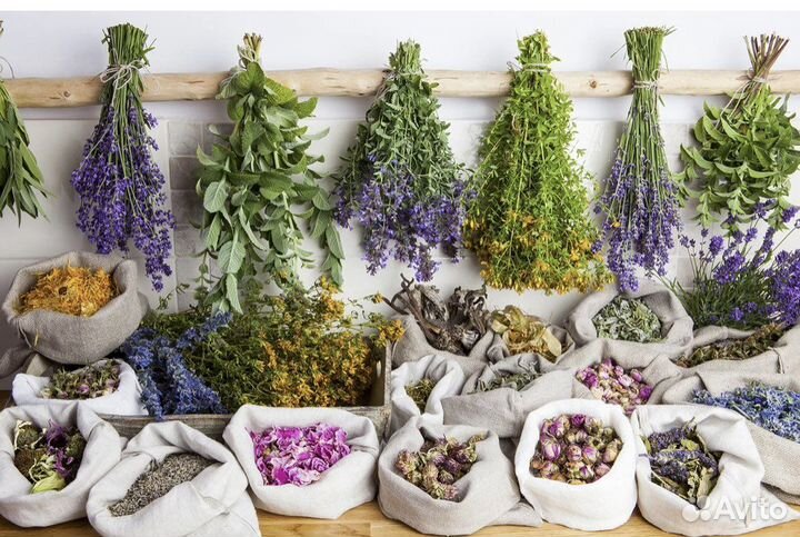 Лекарственные травы