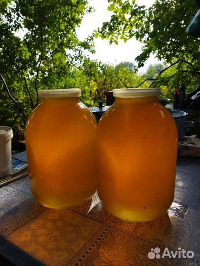 Мед цветочный урожай 2023г