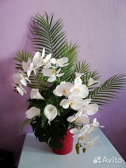 Интерьерные орхидеи