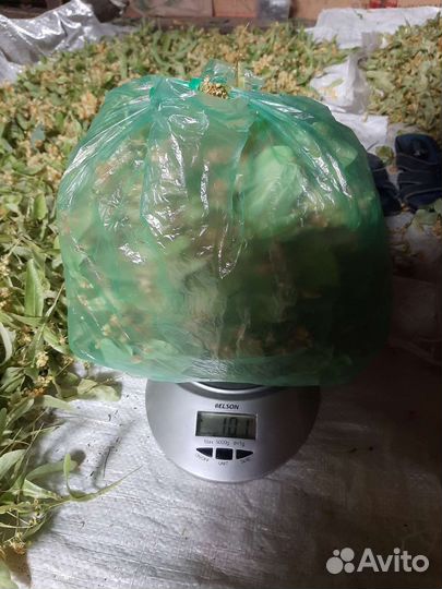 Чабрец,Зверобой,Душица. Мед. сбор 2023 года