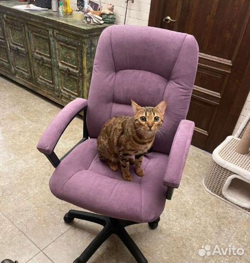 Перетяжка мебели