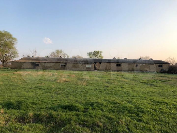 Участок 1,5 га (ИЖС)