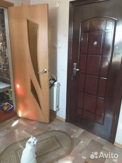 Дверь межкомнатная бу