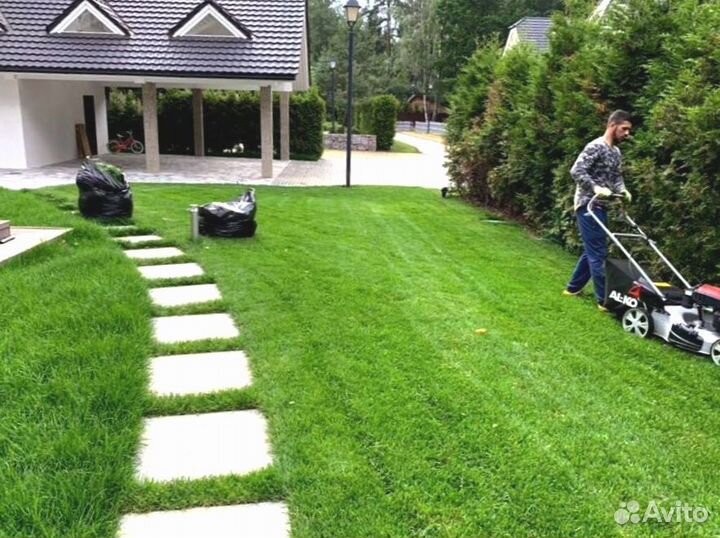 Рулонный газон 