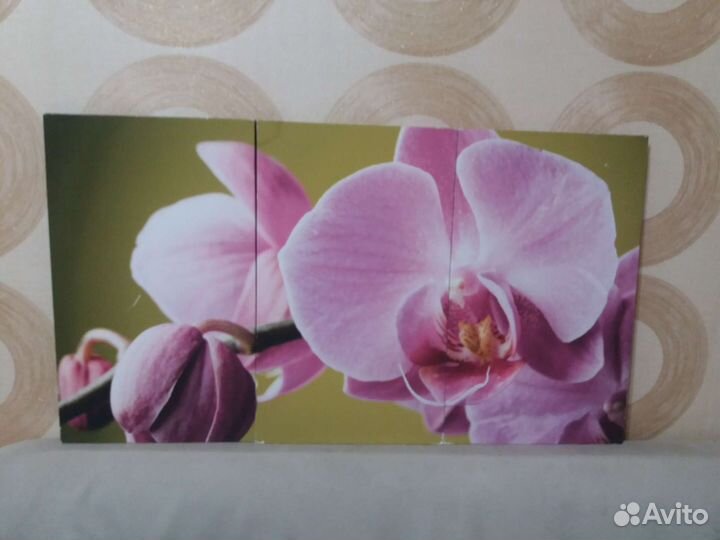 Картина из 3 модулей