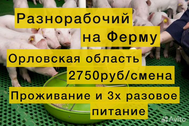 Вахта 3х разовое питание Разнорабочий ферма в Орле