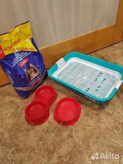 Лоток для кошек