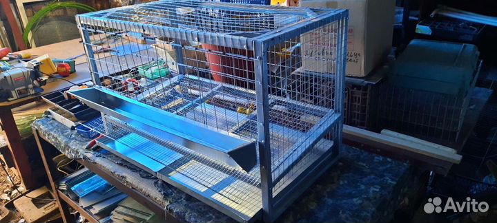 Клетки для кур несушек