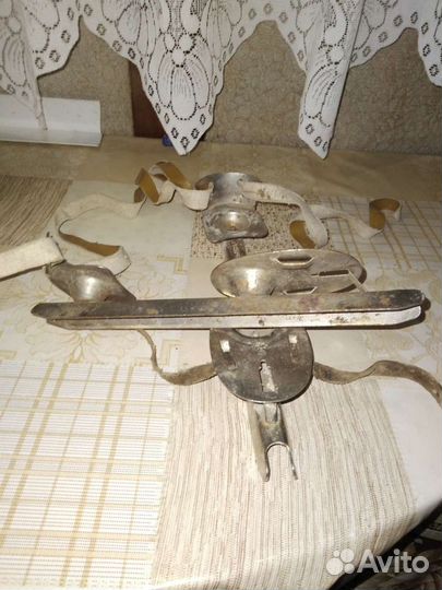 Коньки учебные