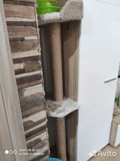 Когтеточка, вторая на ножку стола