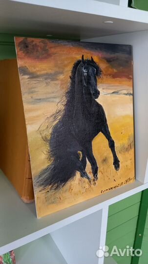 Картина для интерьера Чёрный конь в поле