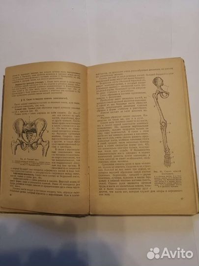 Анатомия и физиология человека учебник для 8 класс