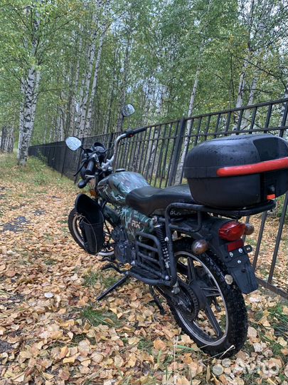 Alpha RX11 LUX
