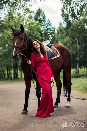 Прогулка на лошадях