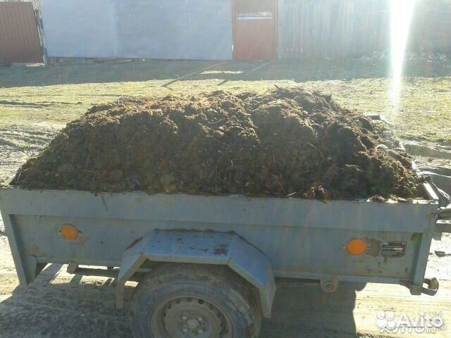 Перегной навоз