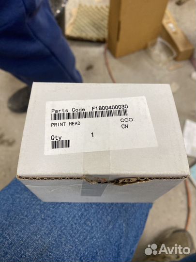 F180040 Печатающая головка Epson L800