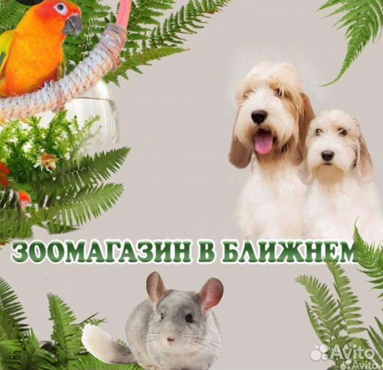 Продавец кассир/ветеринарный врач в Зоомагазин