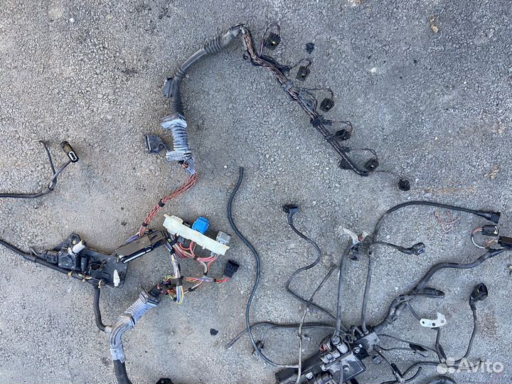 Проводка двс BMW 5 E60-61 3.0D. 2009г