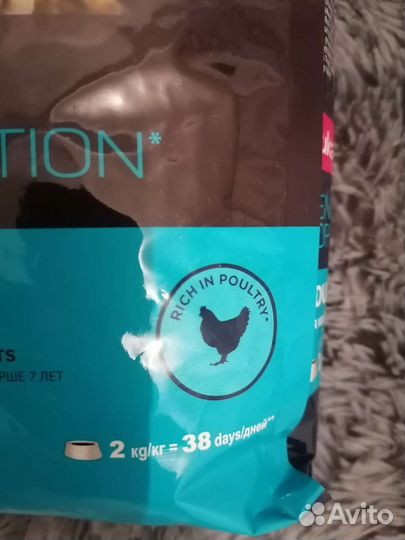 Корм для кошек