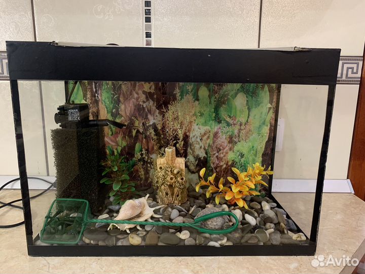 Аквариума