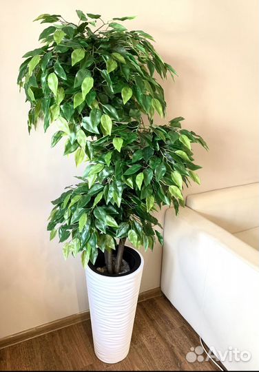 Шикарные искусственные деревья