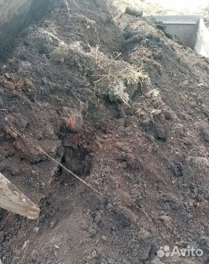 Чернозем Навоз Перегной. Камазом