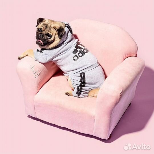 Толстовка для собак и кошек одежда для животных