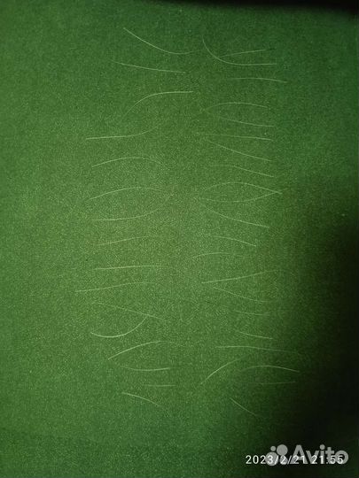 Усы кота выпавшие естественным путём