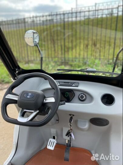 Гольфкар GreenCamel A2P (2+Plate 1800W R10 alum)