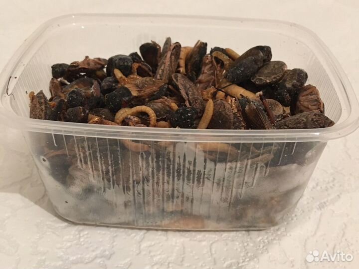 Смесь из насекомых