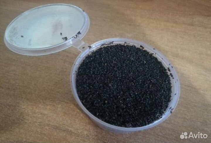 Пжвм (доставка)