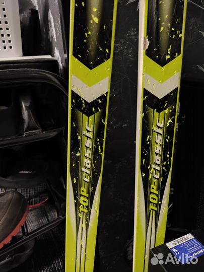 Лыжи беговые коньковые tisa top classic