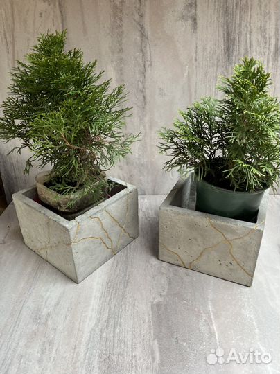 Бетонный вазон кашпо горшок