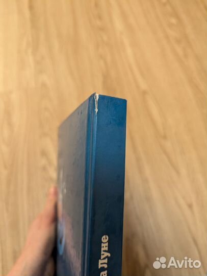 Носов незнайка на луне