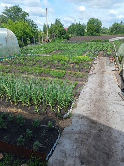 Дом 130 м² на участке 13,6 сот.