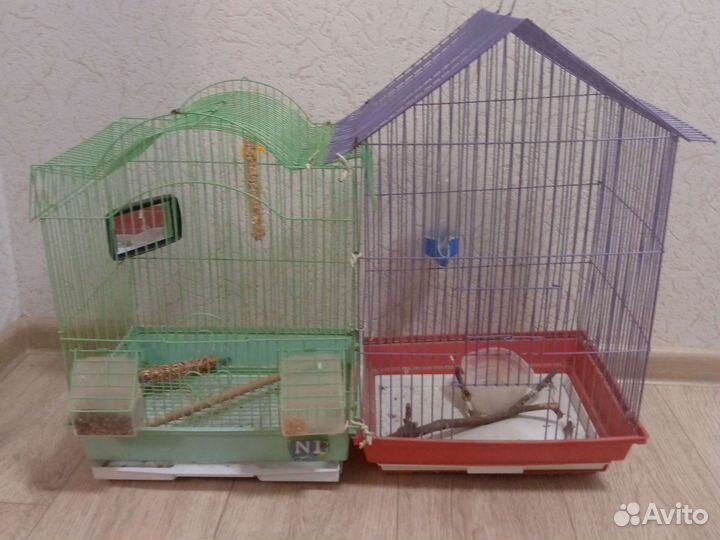 Клетка для среднего попугая