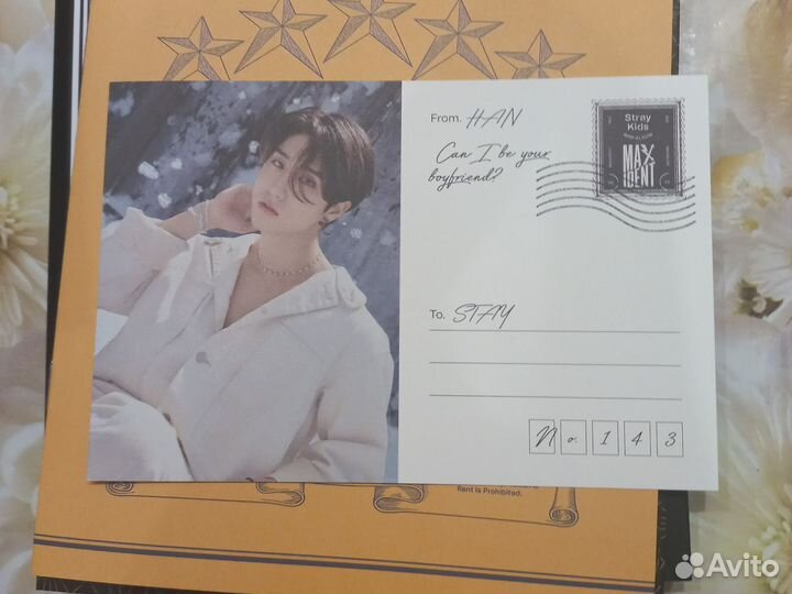 Офф Stray kids 5 star maxident