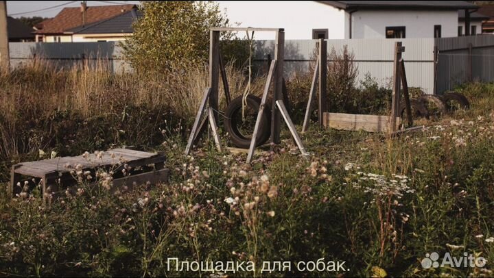 Зоогостиница для собак и кошек