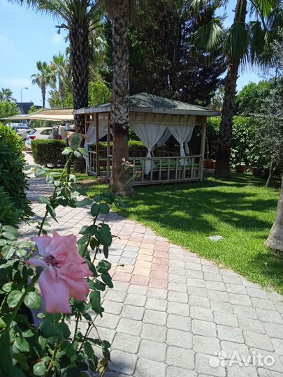 Отзыв об отдыхе в Турции