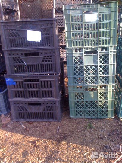 Продам ящики пластиковые, крепкие