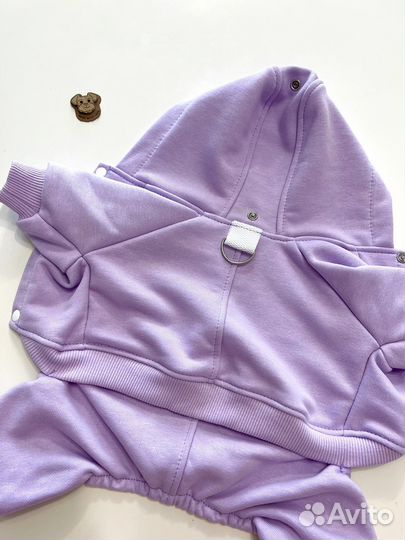 Одежда для собак