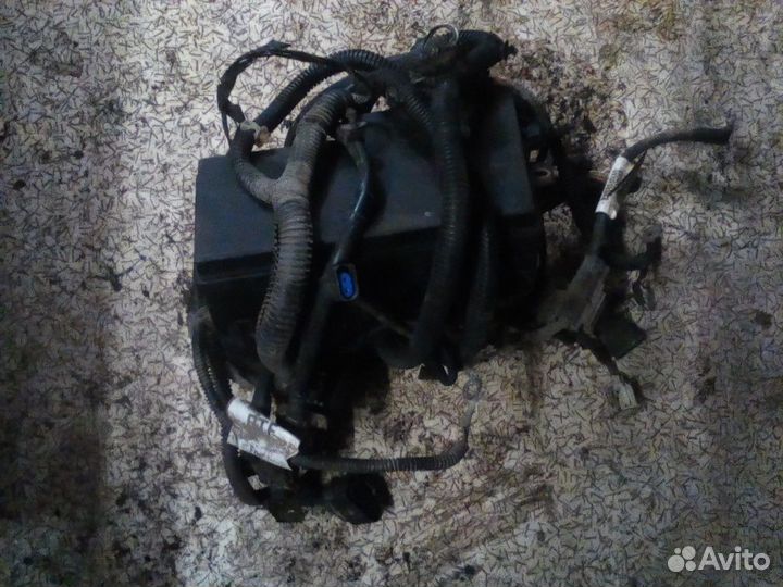 Блок предохранителей форд фокус 2